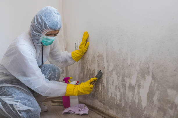 Best Industrial Mold Remediation  in Gorman, TX