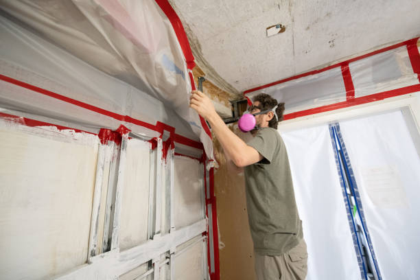 Best Water Damage & Mold Remediation  in Gorman, TX