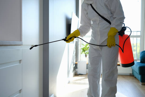 Best Mold Removal for HVAC Installations  in Gorman, TX